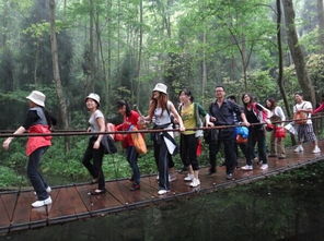 張家界旅游全攻略 注意事項、必買特產與經典游玩路線